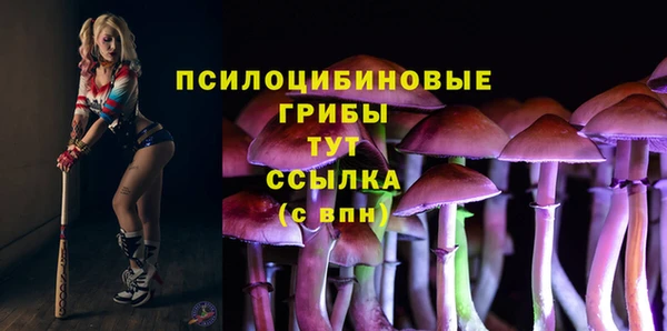 молекула духа Нефтекумск
