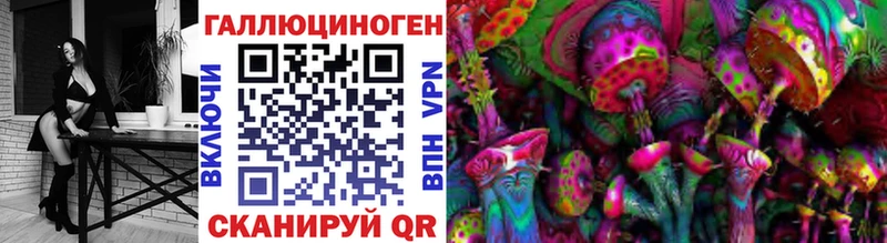 Галлюциногенные грибы Psilocybe  Суздаль 